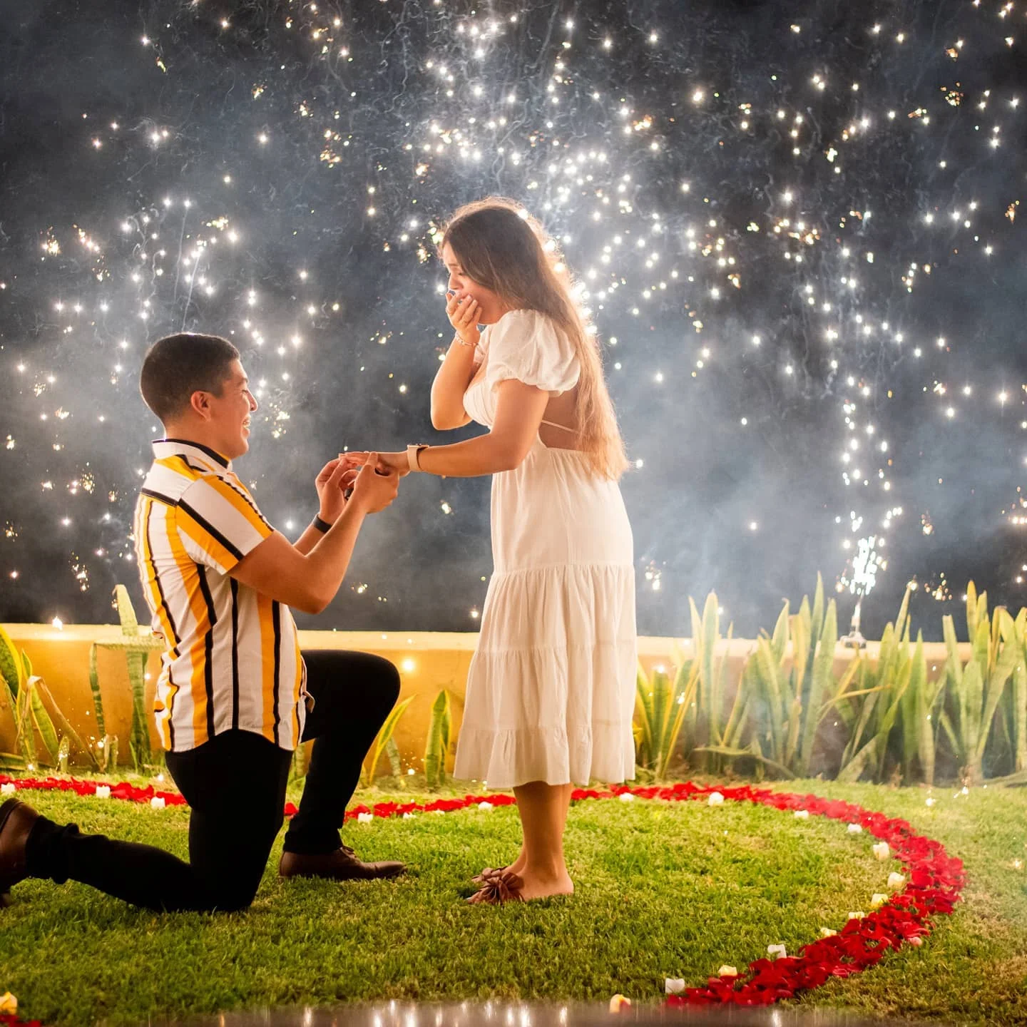 Propuestas de matrimonio con flores en Puerto Vallarta - Obsequio Vallarta